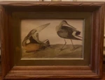 Antique Colored Engraving Print Water Birds Walnut Frame. Fixed Price $59.99.
