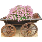 SP13119 Flower Bed Old Wooden Cart Country Western Garden Cardboard Cutout Stand. Fixed Price $54.99.