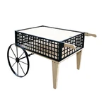 Flower Cart Wood Metal Wagon Planter Bed Stand Vendor Wheel Barrel. Fixed Price $252.90.