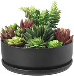 Mygift 8 Inch Round Black Ceramic Cactus Succulent Planter Bowl With Saucer Tray. Fixed Price $32.99.
