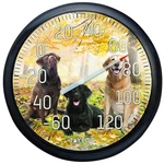 Taylor 6703N Labrador Thermometer, 13-1/4 In Display, -60 To 120 Deg F. Fixed Price $26.11.