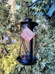 Heath Outdoor Products The Jamestown Lantern Bird Seed Feeder - Black, Colonial. Fixed Price $39.99.