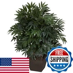 Nearly Natural Double Bamboo Palm With Decorative Planter Silk. Fixed Price $158.56.