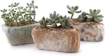 5.5 Inch Ceramic Succulent Pot Planter With Drainage Hole Set Of 3, Stone Shape. Fixed Price $24.99.
