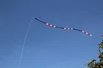 32 Ft Fiberglass Telescoping Pole With 20' Long Multicolor Usa Flag Windsock. Fixed Price $89.95.