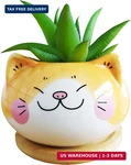 Cuteforyou 3.5 Inches Indoor Cartoon Animal Cat Shaped Ceramic Succulent. Fixed Price $15.61.