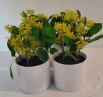 Threshold 7" Potted Faux Seeded Plant For Indoor Decorative Use - Set Of 4. Fixed Price $12.00.