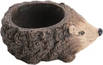 Animal Ceramic Flower Pot Succulent PLANTER-HEDGEHOG-1 Pcs. Fixed Price $20.37.