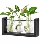 Mkono Terrarium With Wooden Stand, Wall Hanging Glass Planter Desktop. Fixed Price $14.00.