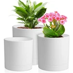 "pack Of 3 Cylinder Flower Pots With Drainage For Indoor Outdoor Plants". Fixed Price $19.35.