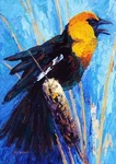 Toland Home Garden Cattail Call 28 X 40IN Decorative Usa Produced House Flag. Fixed Price $9.88.