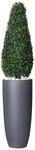 Nearly Natural 5961 50" Bowood Topiary W/planter (indoor/uv Outdoor) 11.5. Fixed Price $211.67.