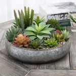 Mygift 11 Inch Galvanized Silver Metal Round Planter Bowl With Brass Tone Rim. Fixed Price $32.99.
