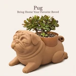 Pug Planter For 4 Inch Nursery Pots Dog Lover Gift Indoor. Fixed Price $56.99.