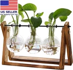 Terrarium With Wooden Stand, Air Planter Bulb Glass Vase Metal Swivel Hold. Fixed Price $24.68.