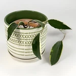 Border Concepts Xoxo Ceramic Planter Multi 6 Drainage Hole Saucer Flower Pot. Fixed Price $30.98.