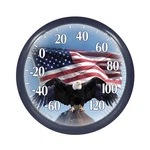 Taylor Bald Eagle Indoor Outdoor Dial Thermometer, Easy To Read Wall Decor Fo.... Fixed Price $29.14.