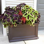 Mayne Fairfield 20X36 Weatherproof Traditional Plastic Planter In Espresso. Fixed Price $246.47.
