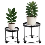Indoor Rolling Plant Stands (set Of 2). Fixed Price $39.99.