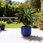 16IN Dia Round Ceramic Planters Drainage Holes Indoor Outdoor Home Garden Patio. Fixed Price $139.00.