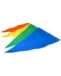Annin Pennant String Multi Colored. Fixed Price $16.99.