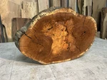 Burly Oak Wood Slab/ Edge White Coffee Table/live End. Fixed Price $187.50.