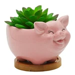 Cuteforyou Animal Pig Shaped Ceramic Cactus Flower Planters With Bamboo Tray-. Fixed Price $21.22.