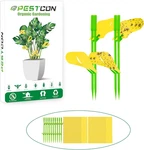 60PCS Yellow Sticky Traps For Plant Gnats Fungus House Indoor Fru. Fixed Price $23.38.