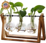 Terrarium With Wooden Stand, Air Planter Bulb Glass Vase Metal Swivel Hold. Fixed Price $25.29.