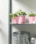 Ikea Sommar 2019 Metal Plant Pots Indoor/outdoor Pink Nwt Set Of Summer. Fixed Price $17.00.