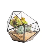 Ncyp Opened Geometric Glass Terrarium, 6.69" Bowl Shape Planter For Succulent.... Fixed Price $51.84.