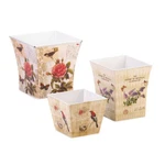 Summerfield Terrace Botanical Garden Planter Trio Set. Fixed Price $24.99.