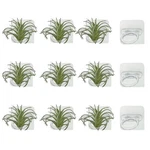 12 Pcs Acrylic Air Plants Hanger Wall Holders Live Tropical Decor New. Fixed Price $17.73.