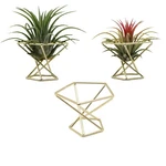 3PCS Geometric Air Holder Metal Himmeli Tillandsia Planter Gold. Fixed Price $11.00.