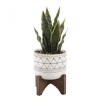 Flora Bunda 12" Artificial Snake Plant In Geo Ceramic Pot With Wooden Stand. Fixed Price $37.74.