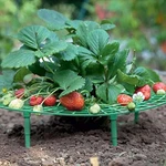 Iceyyyy 5 Pack Strawberry Plant Support - Growing Racks With 4 Sturdy. Fixed Price $21.54.