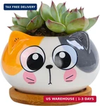 Cuteforyou Succulent Pots,cute Animal Shaped Cartoon Ceramic Cactus Fl. Fixed Price $12.02.