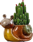 Animal Shaped Planter Flower Snail Small Succulent With Drainage. Fixed Price $23.55.