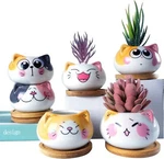 Succulent Pots With Drainage 3.6 Inch Mini Cat For Plants Tiny Animal. Fixed Price $38.80.